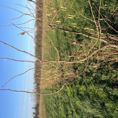 À la rencontre d’Agronuts : la noisette belge en circuit ultra-court Une visite inspirante, une rencontre authentique