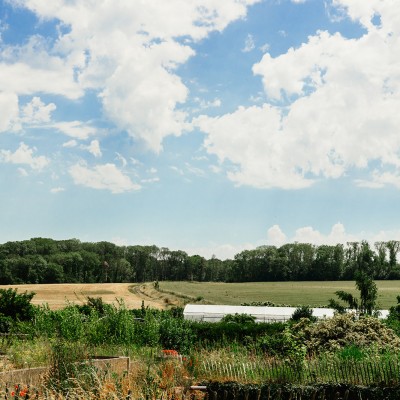 Naturalité, terroir partagé : la nouvelle histoire de Bossimé