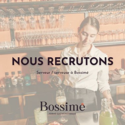 Serveur ( horaires en journée ) à Bossimé 